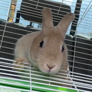 Meet your Posher, Brian